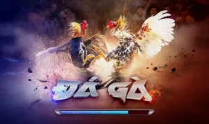 Đá Gà 3D tại 22Bet