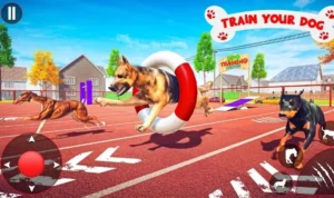 Đua Chó Tại 22Bet